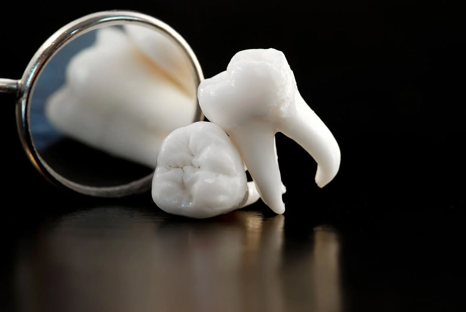 Wisdom Tooth